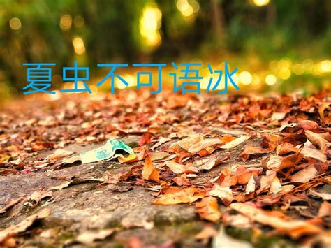 夏蟲不可語冰蟪蛄不知春秋|夏蟲不可語冰，蟪蛄不知春秋